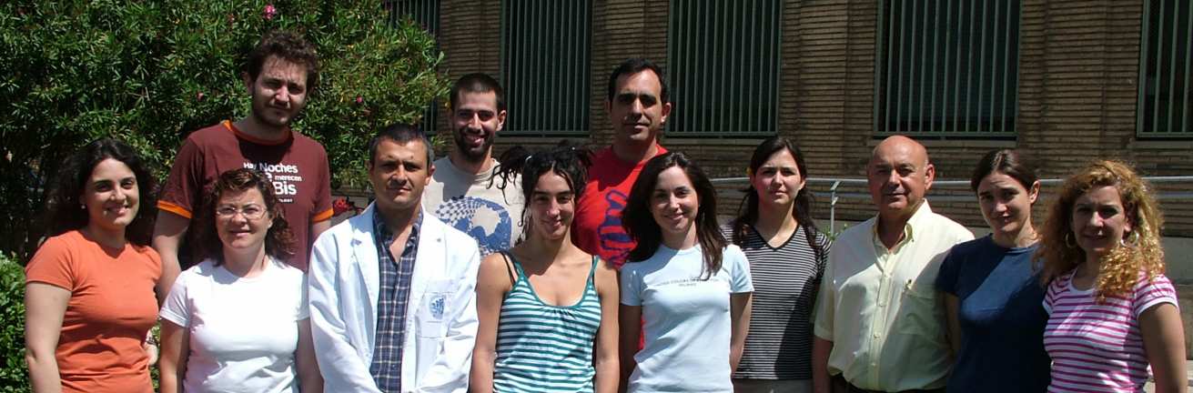 GRUPO