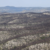 Superficie afectada por un incendio forestal