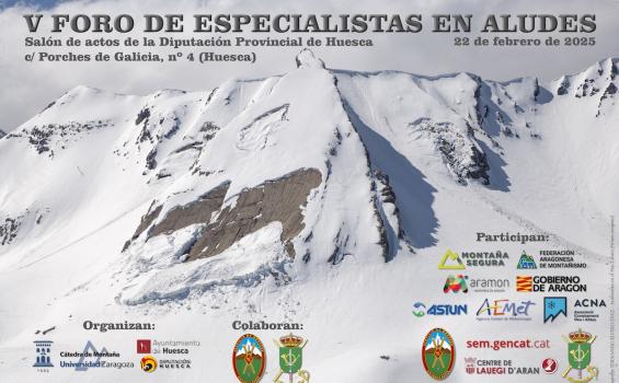 Cartel del V Foro de Aludes