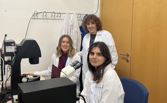 Laboratorio