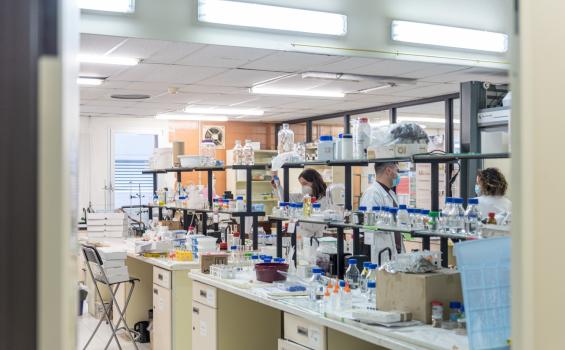 Laboratorio GUIA 