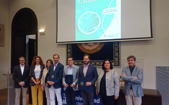 Representantes cátedra