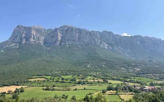 Estudio pionero