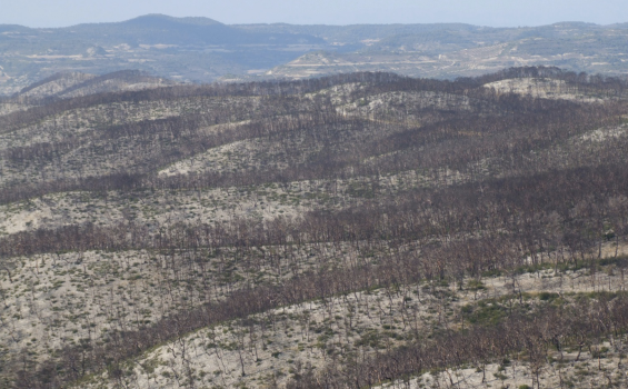 Superficie afectada por un incendio forestal