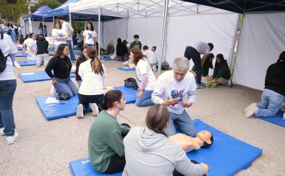 Talleres prácticos