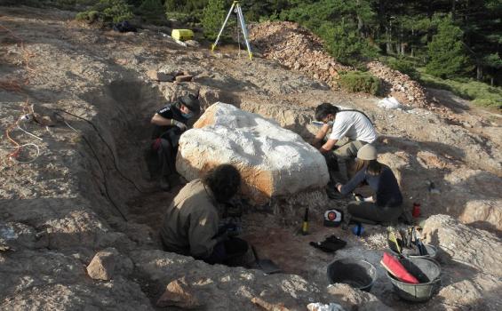 Trabajos de extracciónde huevos de dinosauria en el entorno por donde discurre la carrera