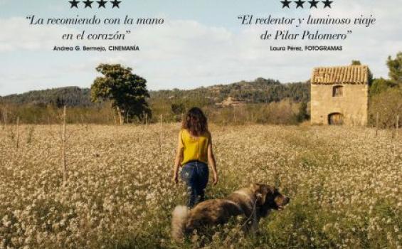 Cartel de 'Los destellos' , de Pilar Palomero