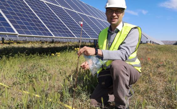 El estudio busca integrar la biodiversidad en los nuevos complejos energéticos. En la foto Jaume Tormo, investigador de esta iniciativa internacional
