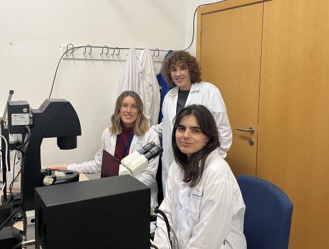 Laboratorio