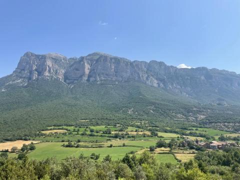 Estudio pionero