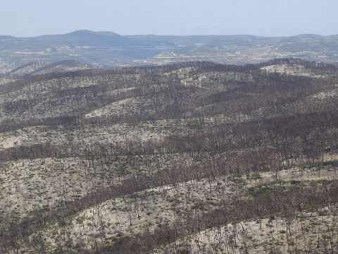 Superficie afectada por un incendio forestal