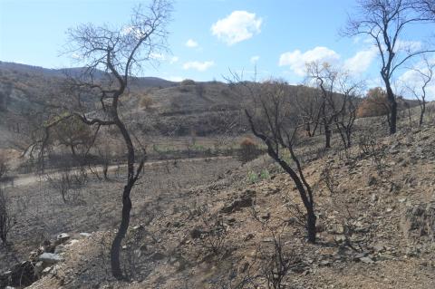 Barranco de las Torcas- Foto: Álvaro Hernández 