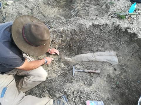 Excavación en el yacimiento de Fuente Arnar (Camarillas, Teruel), en 2018