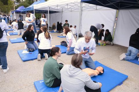 Talleres prácticos