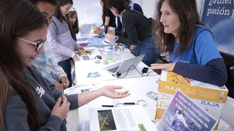 Insecto palo en el Rincón de la Ciencia 2025