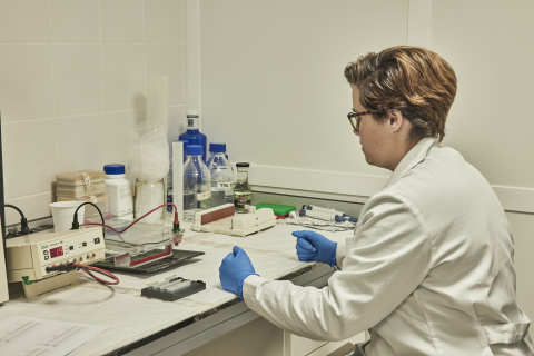 El papel de las mujeres en la ciencia y la tecnología centra el 11F