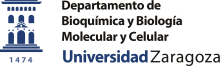 Logo Bioquímica y Biología Molecular y Celular